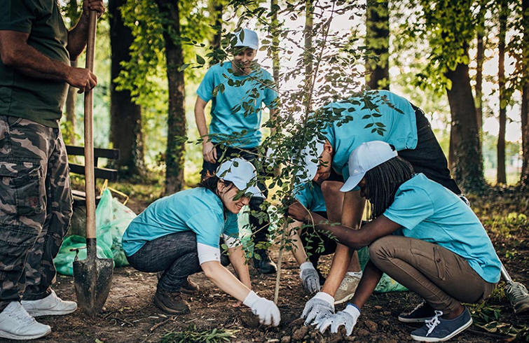 江苏三笑集团有限公司